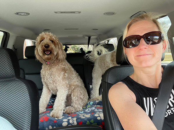 Dog Transportation